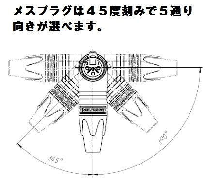 ノイトリックL型メスプラグの角度変更